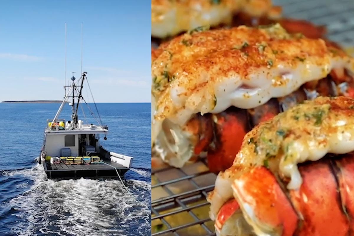 Machina Launches Get Maine Lobster’s Inaugural TV Campaign