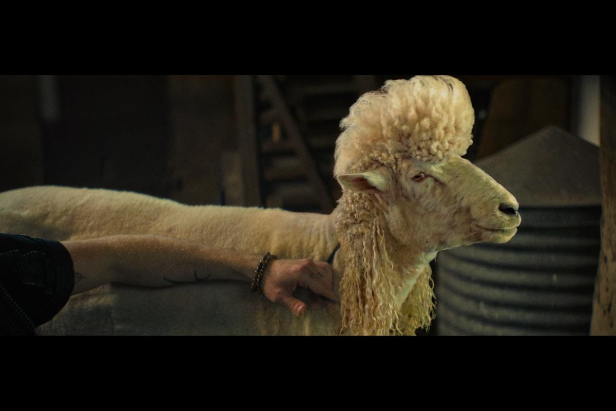 Perami Taps Arts & Sciences for Meaty Campaign