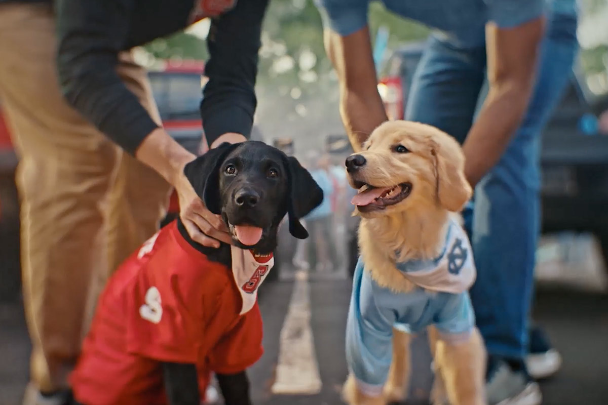 Cactus Puts Four-Legged Fans at the Heart of College Football Rivalry