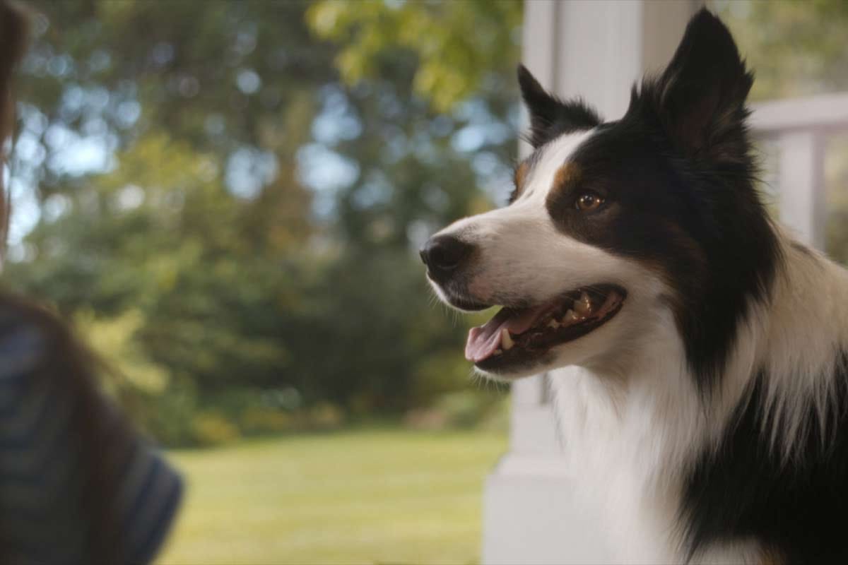 Plural Delivers Emotional NutriSource Campaign Directed by Stash Capar