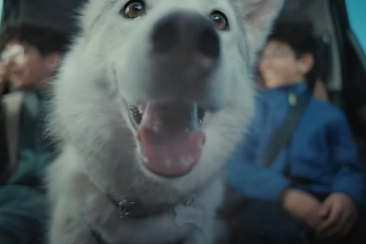 Greenpoint's ROOS Directs 'Happy Chaos' for Nissan 2026 Rogue